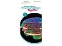 Siemens Healthineers at RSNA 2016
