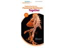 Siemens Healthineers at RSNA 2016