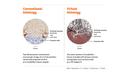 A comparison between conventional and virtual histology.