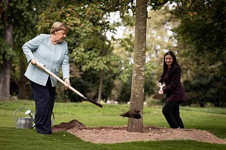Bundeskanzlerin a.D. Angela Merkel und Bundesministerin Reem Alabali Radovan pflanzen gemeinsam eine Winterlinde 
