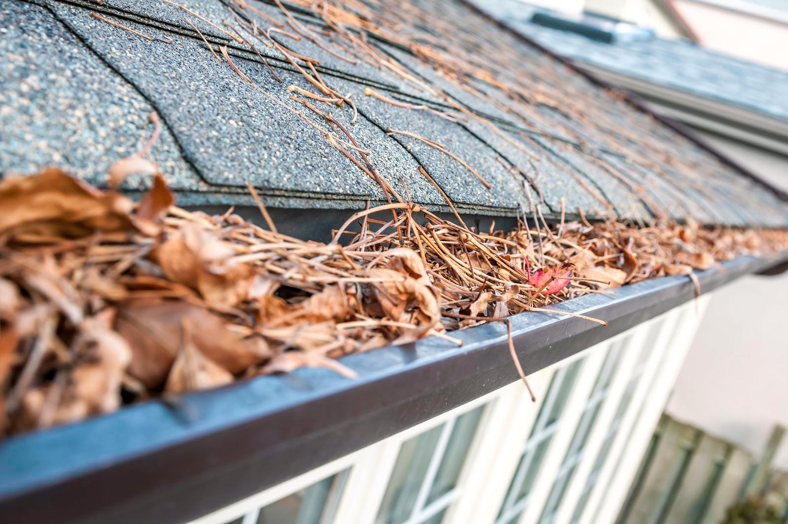 a roof gutter that’s blocked with leaves