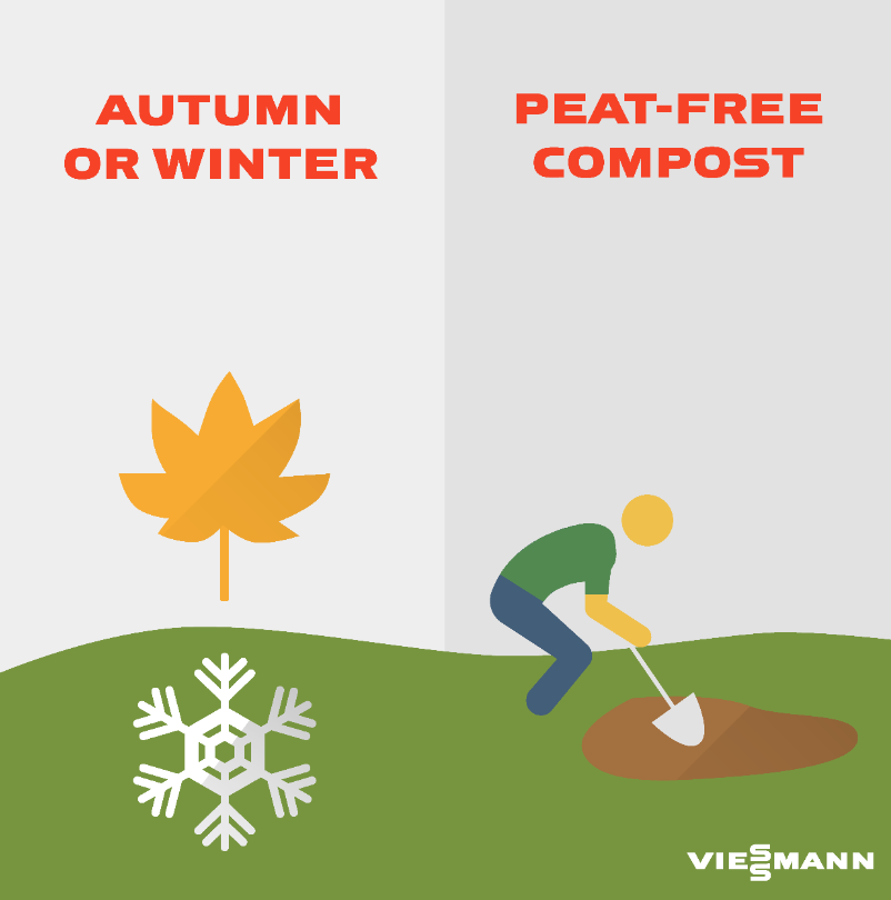 Guide graphic showing planting trees in Autumn or Winter