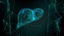 Digitalized blue image of a liver