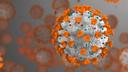 SARS-CoV-2 Virus rendering