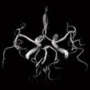 Head Angiography, 3D FLASH TOF MIP
