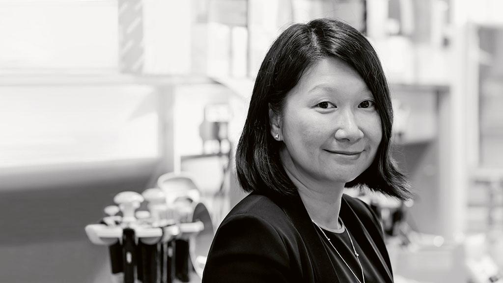 Personalized medicine, big data, and enhanced medical collaboration all contribute to a more comprehensive picture of the patient.