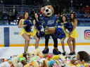 Teddy Bear Toss