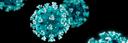 Disinfection recommendations