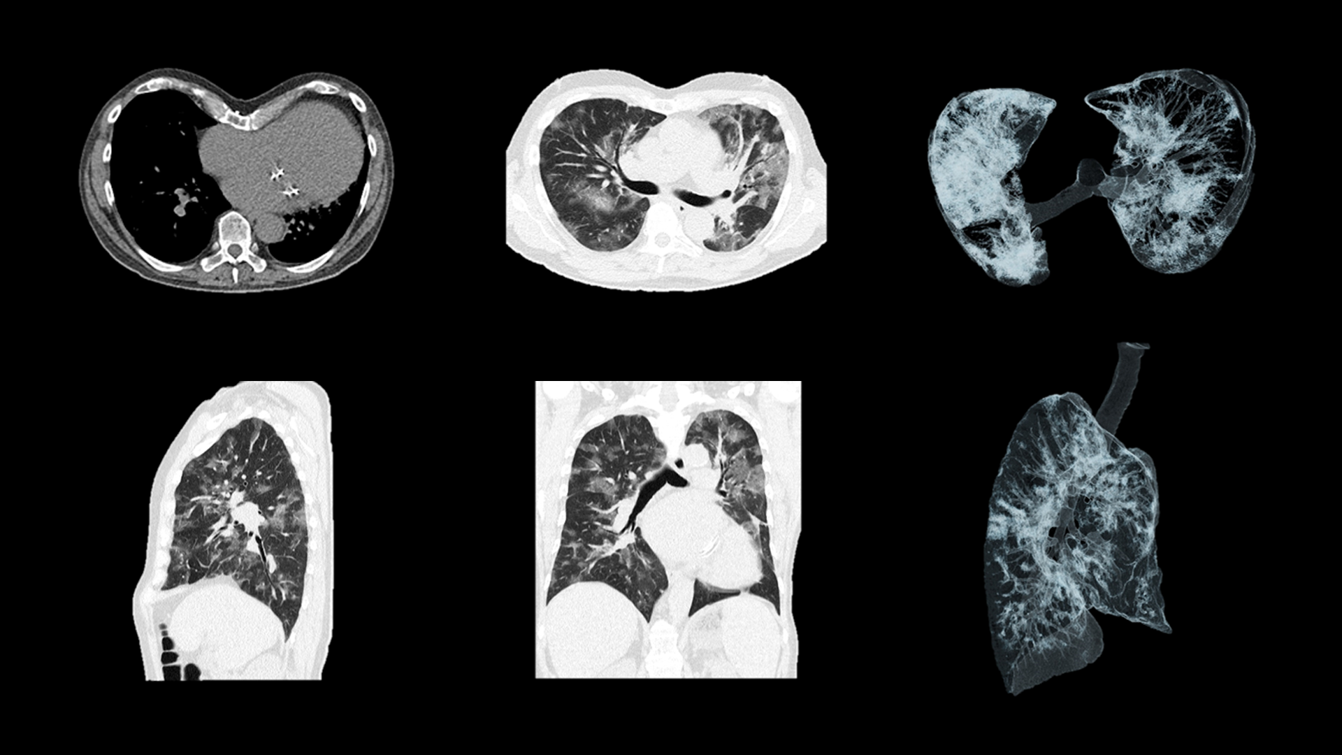 Our response to the COVID-19 pandemic