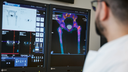 Human Adams sits in front of a workstation and examines a SPECT/CT image.