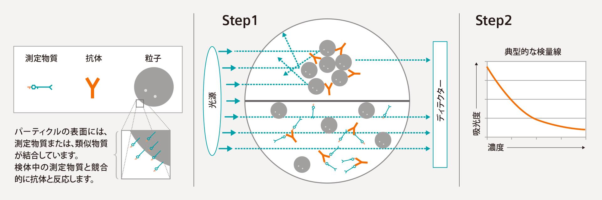 免疫抑制薬のTDM