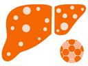 Inflamed Liver