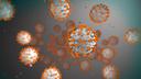 FTD Respiratory Assays Image