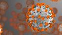SARS-CoV-2 Virus rendering