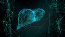 Enhanced Liver Fibrosis (ELF)