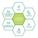 Measures of the “Students BeWegt” project presented as hexagons