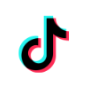 TikTok Icon