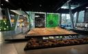 Fossil eines großen prähistorischen Tieres in einer Glasvitrine, davor Gesteinsstücke. Dahinter eine Tafel mit Zeichnungen von Elefanten und wissenschaftlichen Namen.