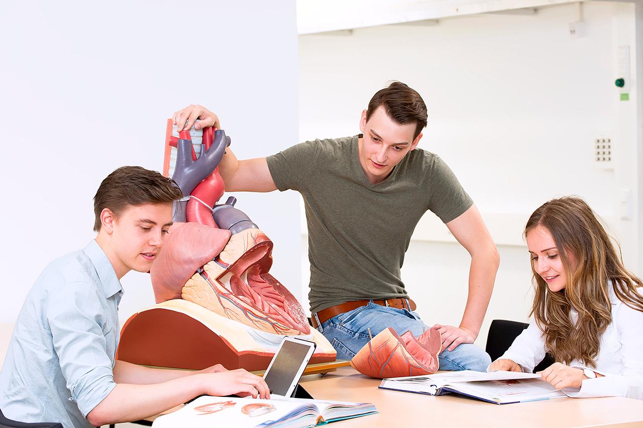 Zentrum für Unterricht und Studium Klinikum der Universität München: Im Zentrum für Unterricht und Studium (ZeUS) können Studierende der Medizin Kenntnisse und Fähigkeiten erarbeiten. Dafür stehen eine Vielzahl an Organ- und Simulationsmodelle zur Verfügung.