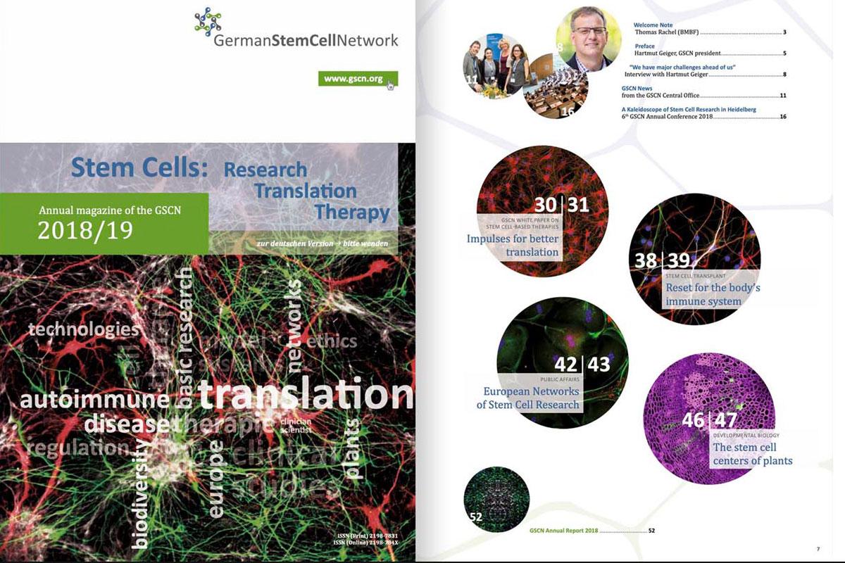 GSCN German Stem Cell Network