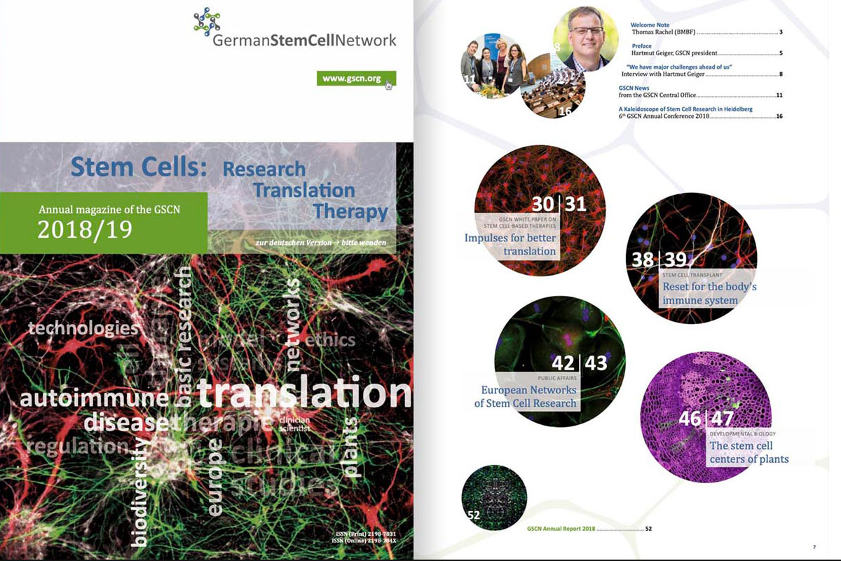 Gscn 1