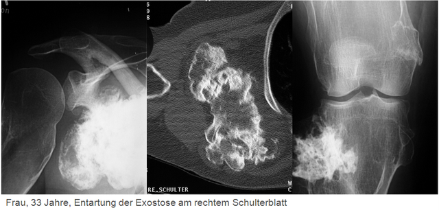 Image ohne Titel