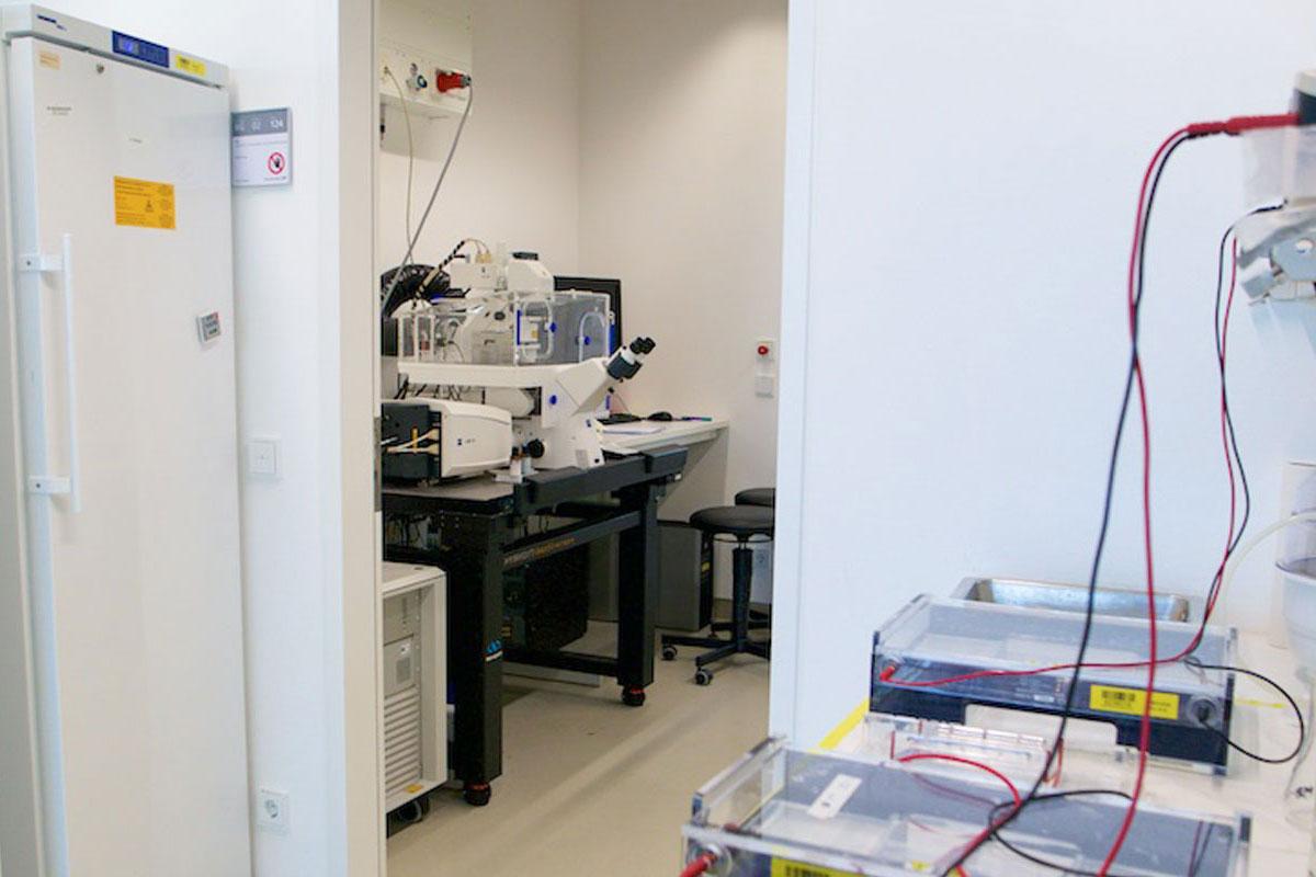 paquet-lab3 Paquet Lab