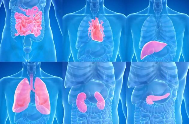 Organtransplantation Transplantationszentrum München der LMU