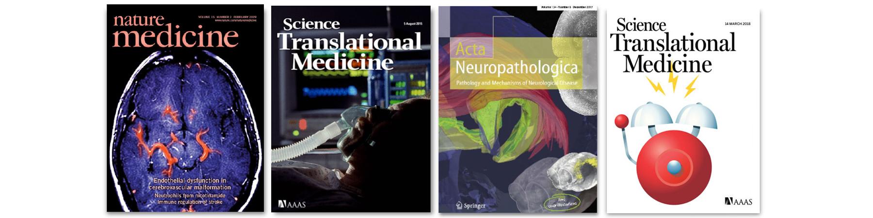 Image ohne Titel Liesz Publications