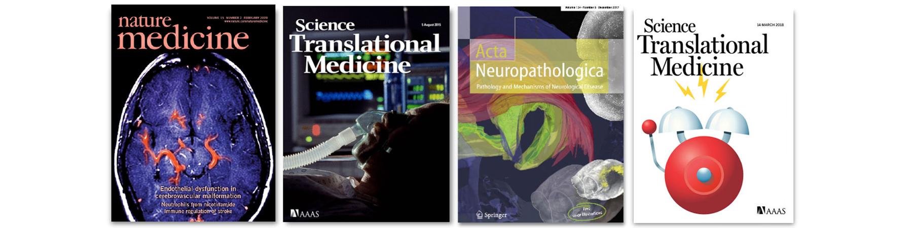 Image ohne Titel Liesz Publications
