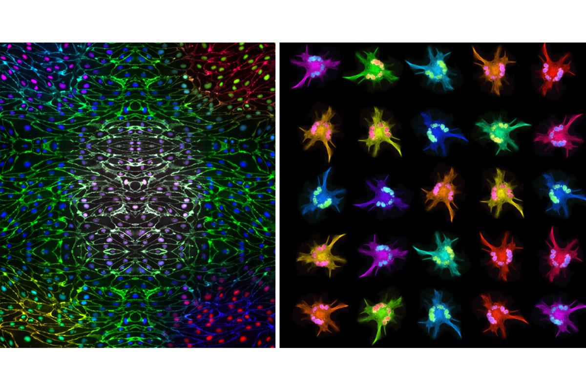 image-competition Images Paquet Group