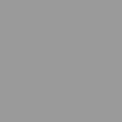 Farbe #999