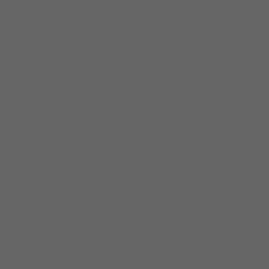 Farbe #666