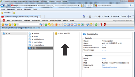WCMS-Autorensystem Download-Container WCMS-Autorensystem Download-Container
