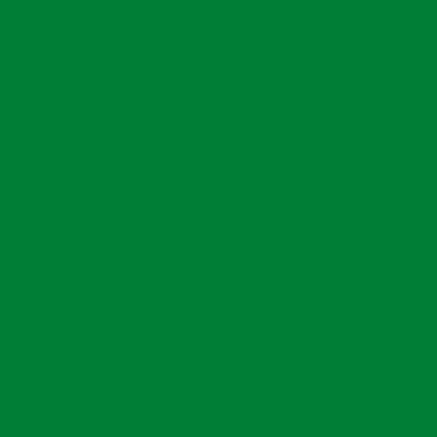 Farbe #006633