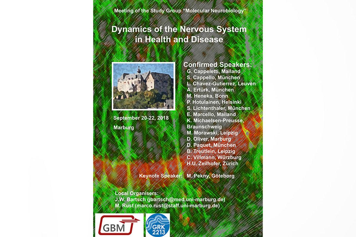 molecular-neurobiology Molecular-Neurobiology