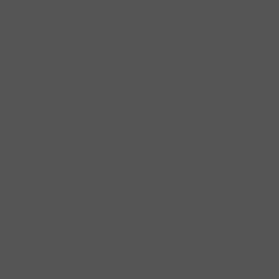 Farbe #555