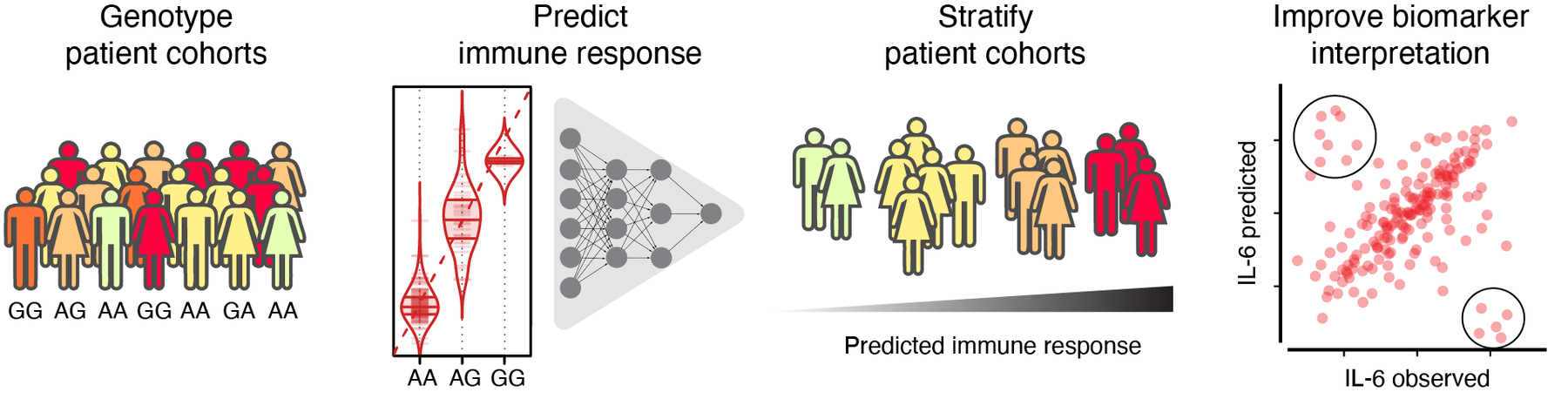 Immune Prediction