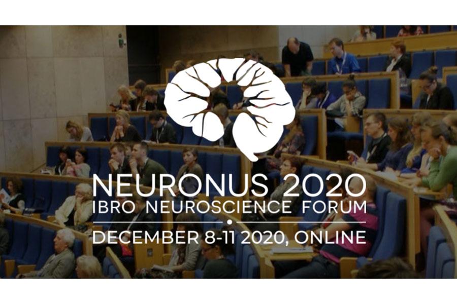 Image ohne Titel Neuronus