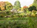 Botanischer Garten mit Bepflanzungen in herbstlichen Farben