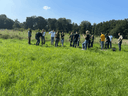 Azubis stehen auf Wiese und pflanzen Bäume