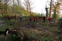Sparkassenmitarbeitende pflanzen Jungbäume im Wald