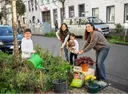 Menschen pflegen gemeinsam ein Baumbeet. Sie pflanzen neue Stauden ein.