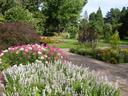 Sommerblumenbeet im Botanischen Garten Krefeld