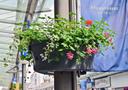 Blumenkübel an einem Laternenpfahl