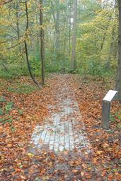 Weg im Wald mit Laub mit Gedenktafel