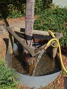 Der Gießring hält das Gießwasser am Baum, wo es versickert.