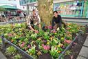 Zwei Gärtner sitzen in einem Beet und pflanzen Blumen