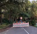 Straße mit Baustellenabsperrgittern