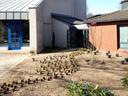 Beet vor der Trauerhalle auf dem Fischelner Friedhof